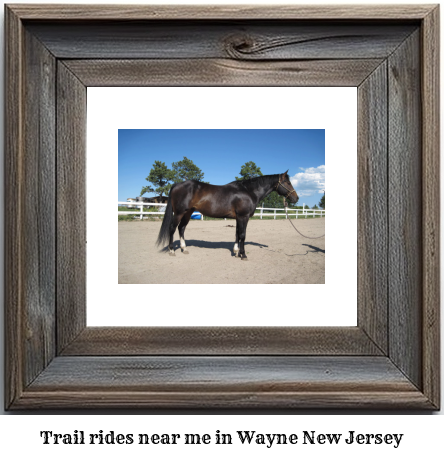 trail rides near me in Wayne, New Jersey